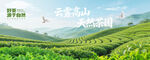 高山茶园