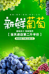 葡萄海报