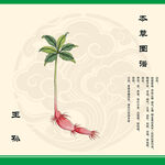 王孙植株图示