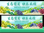 葡萄节活动背景
