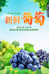葡萄海报