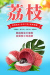 荔枝海报