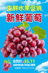 葡萄