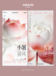 小暑大暑节气荷花海报设计