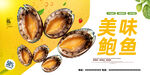 鲍鱼
