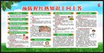 预防猩红热病知识宣传栏