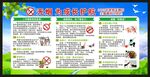 世界无烟日宣传栏