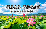  普者黑 