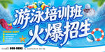 游泳培训班海报