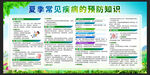 夏季常见疾病的预防知识