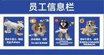 宠物员工信息展示栏