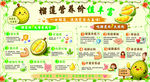 榴莲营养价值丰富