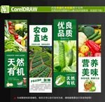 有机蔬菜