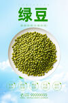 绿豆