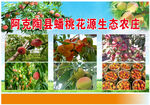 阿克陶县锦瑞桃花源生态农庄