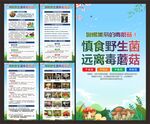 慎食野生菌宣传海报
