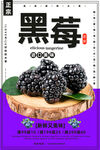 黑莓