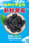 黑莓