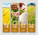 大米挂画