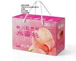 桃子包装 水蜜桃礼盒