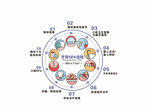 牙周SPA流程