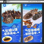 海参海报