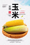 玉米