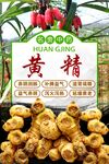  滇黄精 
