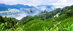 茶山
