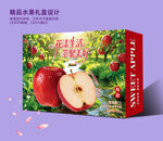 新鲜红苹果礼盒包装