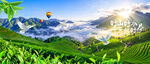 茶山