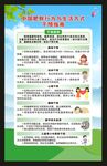 世界防治肥胖日海报