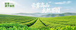 茶园