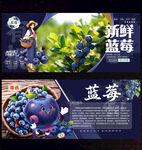 蓝莓