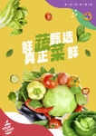 蔬菜海报