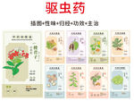中草药大全之驱虫药