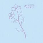 紫色花卉