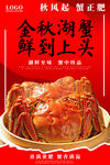 大闸蟹海报
