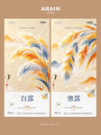 白露寒露芦苇露珠海报