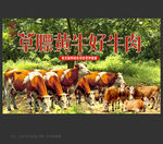 黄牛