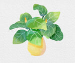 水彩绘绿植花瓶插画