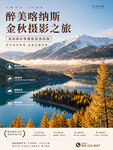 喀纳斯旅游海报