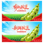豌豆