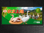 农家土鹅