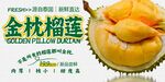 金枕榴莲 