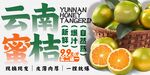 云南蜜桔 