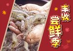 丰收尝鲜季