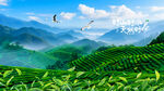 茶山