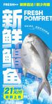 新鲜鲳鱼