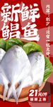 新鲜鲳鱼 